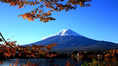 (日本新華僑報網(wǎng))