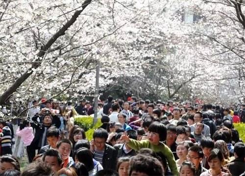 中國僑網(wǎng)(日本新華僑報網(wǎng))