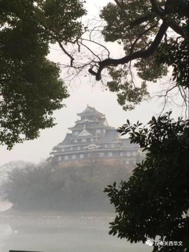 中國(guó)僑網(wǎng)范曾美術(shù)館所在的岡山