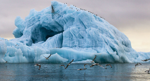 中國僑網(wǎng)資料圖。(俄羅斯衛(wèi)星網(wǎng))