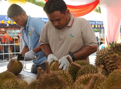 中國僑網(wǎng)資料圖:馬來西亞舉辦水果嘉年華。新華社記者林昊攝