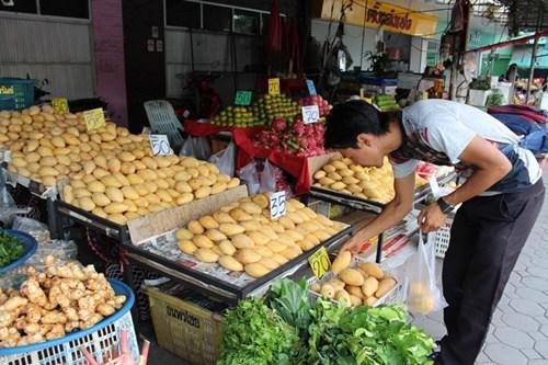 中國(guó)僑網(wǎng)(泰國(guó)《世界日?qǐng)?bào)》)