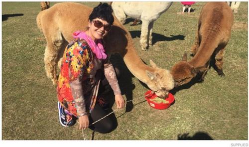 中國(guó)僑網(wǎng)(新西蘭天維網(wǎng)援引stuff圖片)