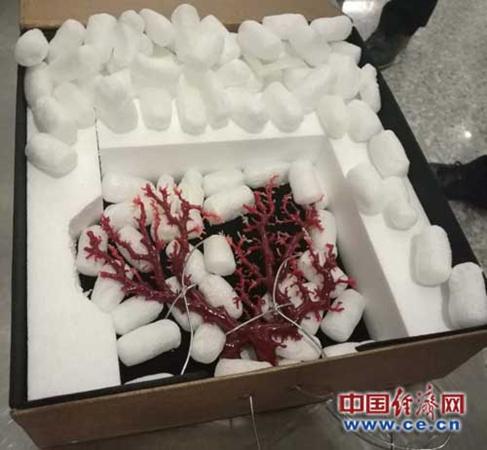 中國(guó)僑網(wǎng)