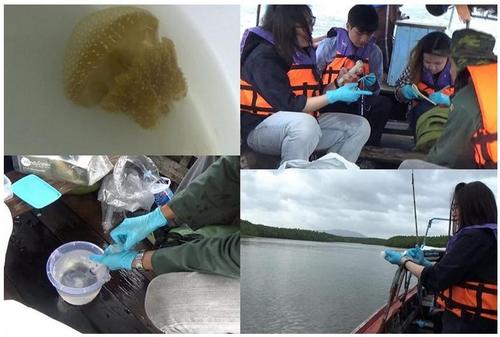 中國(guó)僑網(wǎng)(泰國(guó)《世界日?qǐng)?bào)》)