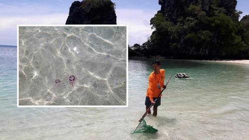 中國(guó)僑網(wǎng)(泰國(guó)《世界日?qǐng)?bào)》)