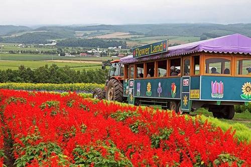 中國(guó)僑網(wǎng)