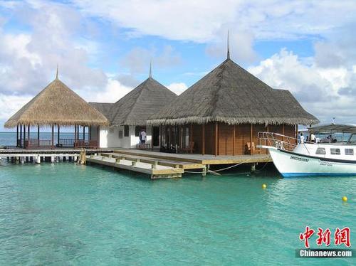 中國僑網(wǎng)馬爾代夫。(中新社記者 初征 攝)