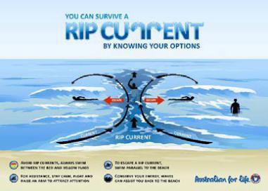 中國(guó)僑網(wǎng)