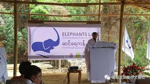 中國僑網(wǎng)(圖片來源:《緬甸金鳳凰中文報》)