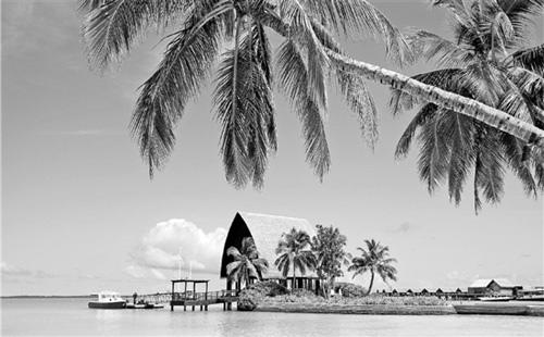 中國僑網(wǎng)馬爾代夫