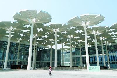 中國僑網(wǎng)(甘南 攝)