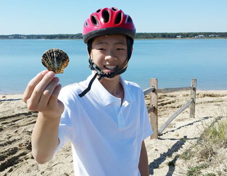 中國僑網(美國《僑報》)