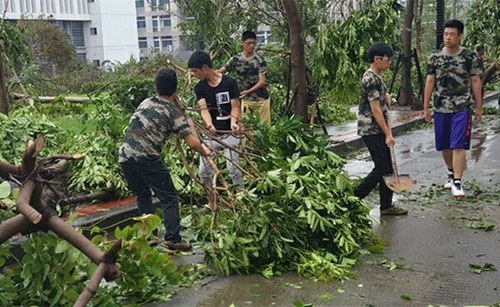2016級(jí)新生清理校園道路