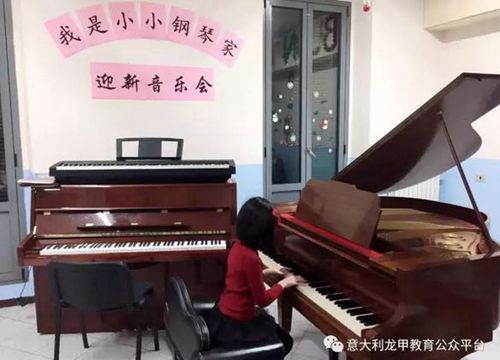 中國(guó)僑網(wǎng)迎新音樂(lè)會(huì)現(xiàn)場(chǎng)