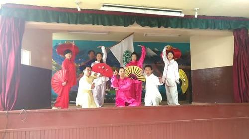 中國(guó)僑網(wǎng)文藝演出現(xiàn)場(chǎng)