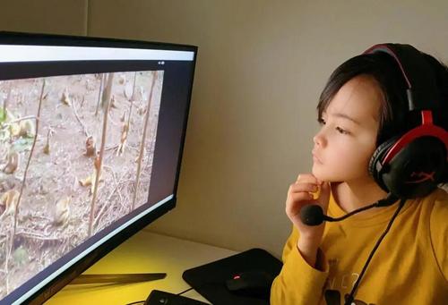 中國僑網(wǎng)(圖片來源:中國華文教育基金會)