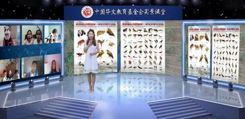 中國僑網(wǎng)(圖片來源:中國華文教育基金會)