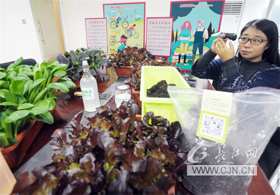 中國(guó)僑網(wǎng)