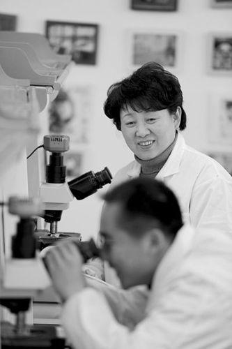 中國僑網(wǎng)資料圖:孫小蓉在工作中。 (來源:武漢晚報)