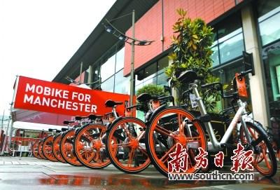 中國僑網資料圖片:中國共享單車進軍英國曼徹斯特。 新華社發(fā)