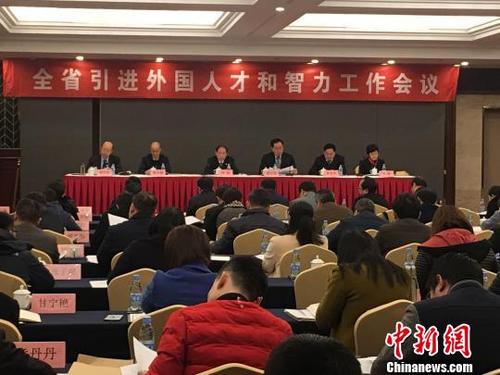 中國僑網(wǎng)會議現(xiàn)場。趙強 攝