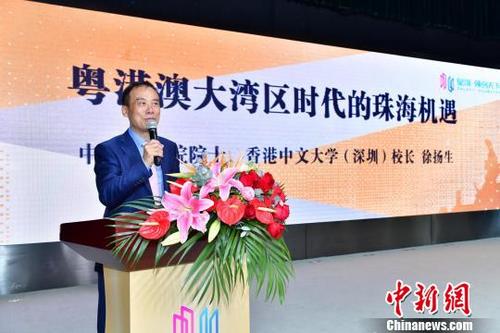 中國(guó)僑網(wǎng)中國(guó)工程院院士、香港中文大學(xué)(深圳)校長(zhǎng)徐揚(yáng)生在作主題演講 主辦方供圖