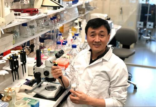 中國(guó)僑網(wǎng)曹義海教授在瑞典卡羅林斯卡醫(yī)學(xué)院實(shí)驗(yàn)室工作。(圖片來(lái)源:中國(guó)致公黨微信公眾號(hào))