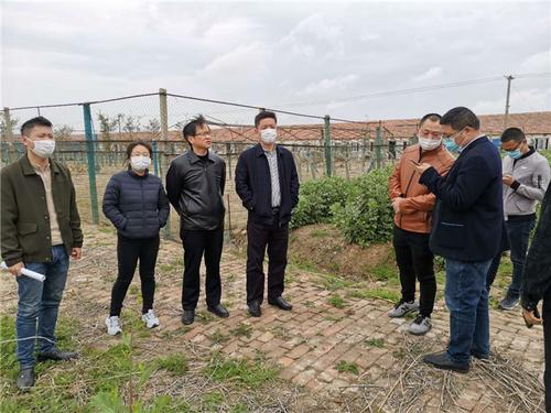 中國僑網(江蘇省僑聯(lián)網站圖)