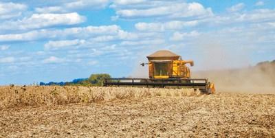 中國僑網(wǎng)(《人民日報》/張遠南 攝)