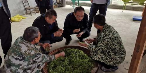 中國(guó)僑網(wǎng)(陜西省僑聯(lián)網(wǎng)站圖)