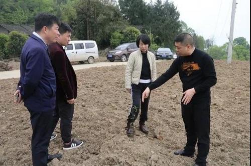 中國(guó)僑網(wǎng)(貴州省僑聯(lián)網(wǎng)站圖片)