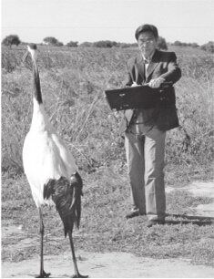 中國(guó)僑網(wǎng)鄧文新(埃及)