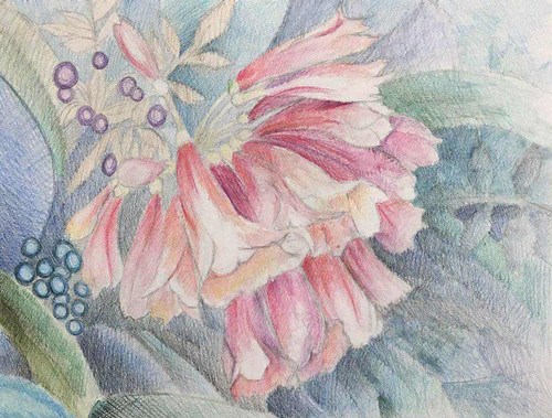 楊子晗作品之一