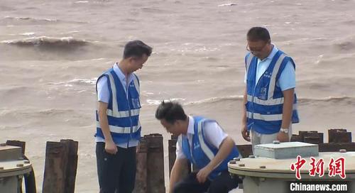 中國僑網(wǎng)工作人員在巡查海堤 張踐 攝