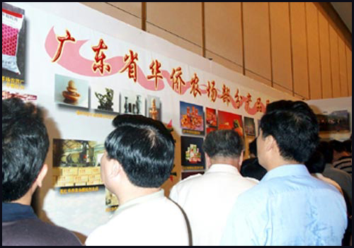 �c������D