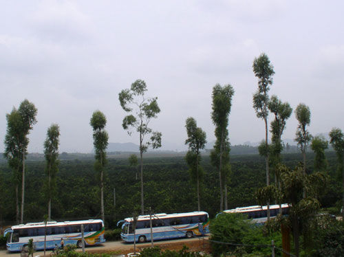 �c(di��n)������D