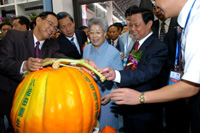 �׌��Ї��|�˲��[��(hu��)���ό��_Ļ