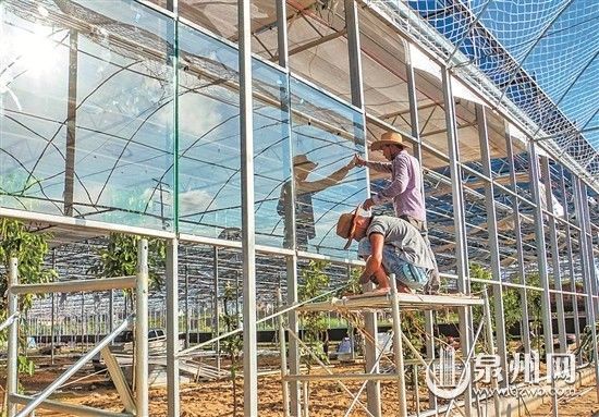 中田五柳基地安裝智能玻璃溫室大棚