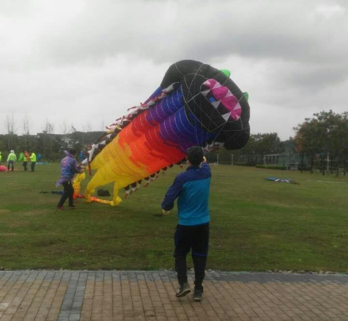 浙江省舉辦風(fēng)箏錦標(biāo)賽