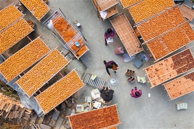 中國(guó)僑網(wǎng)柿子深加工后成了游客眼中的香餑餑。 趙用 攝