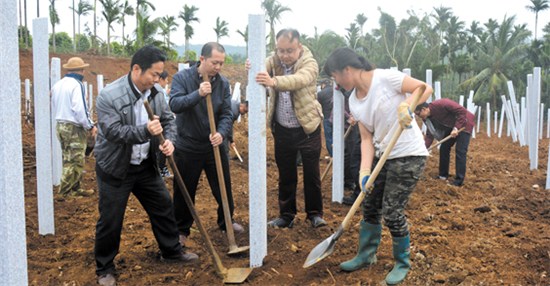 中國(guó)僑網(wǎng)