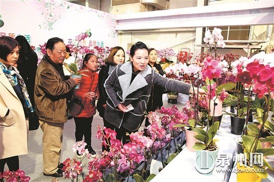 中國(guó)僑網(wǎng)陳曉東 許文龍 攝