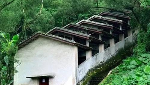 中國(guó)僑網(wǎng)