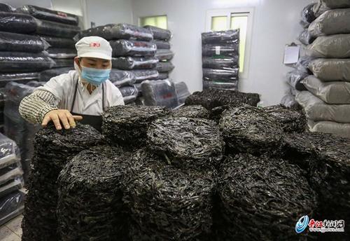 中國(guó)僑網(wǎng)