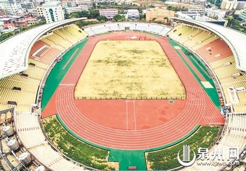 中國僑網(wǎng)體育場修葺一新 (林勁峰 攝)