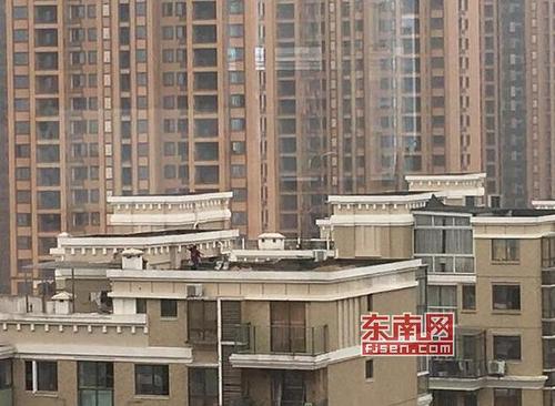 中國僑網(wǎng)祥榮荔樹灣小區(qū)(網(wǎng)友供圖)