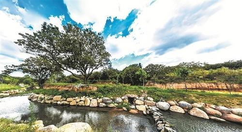 中國僑網(wǎng)資料圖:越來越多晉江鄉(xiāng)村的溪流回歸變成生態(tài)溪 來源:泉州晚報