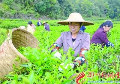 中國(guó)僑網(wǎng)