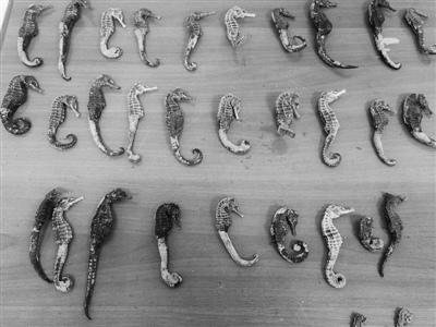 中國(guó)僑網(wǎng)(溫州網(wǎng))